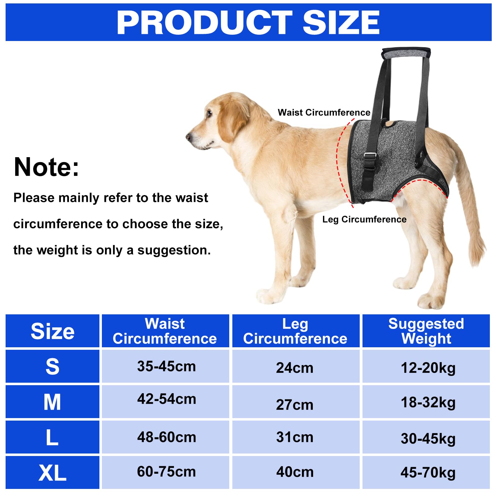 Imbracatura per Cani per Zampe Posteriori, Pettorina Di Supporto Posteriore Con Impugnatura, Imbracatura Cane Zampe Posteriori, Pettorina Morbida Regolabile per Feriti Di Piccola, Media Grande (M)