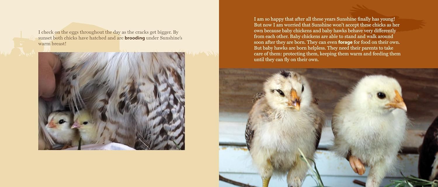 Hawk Mother: The Story of a Red-tailed Hawk Who Hatched Chickens