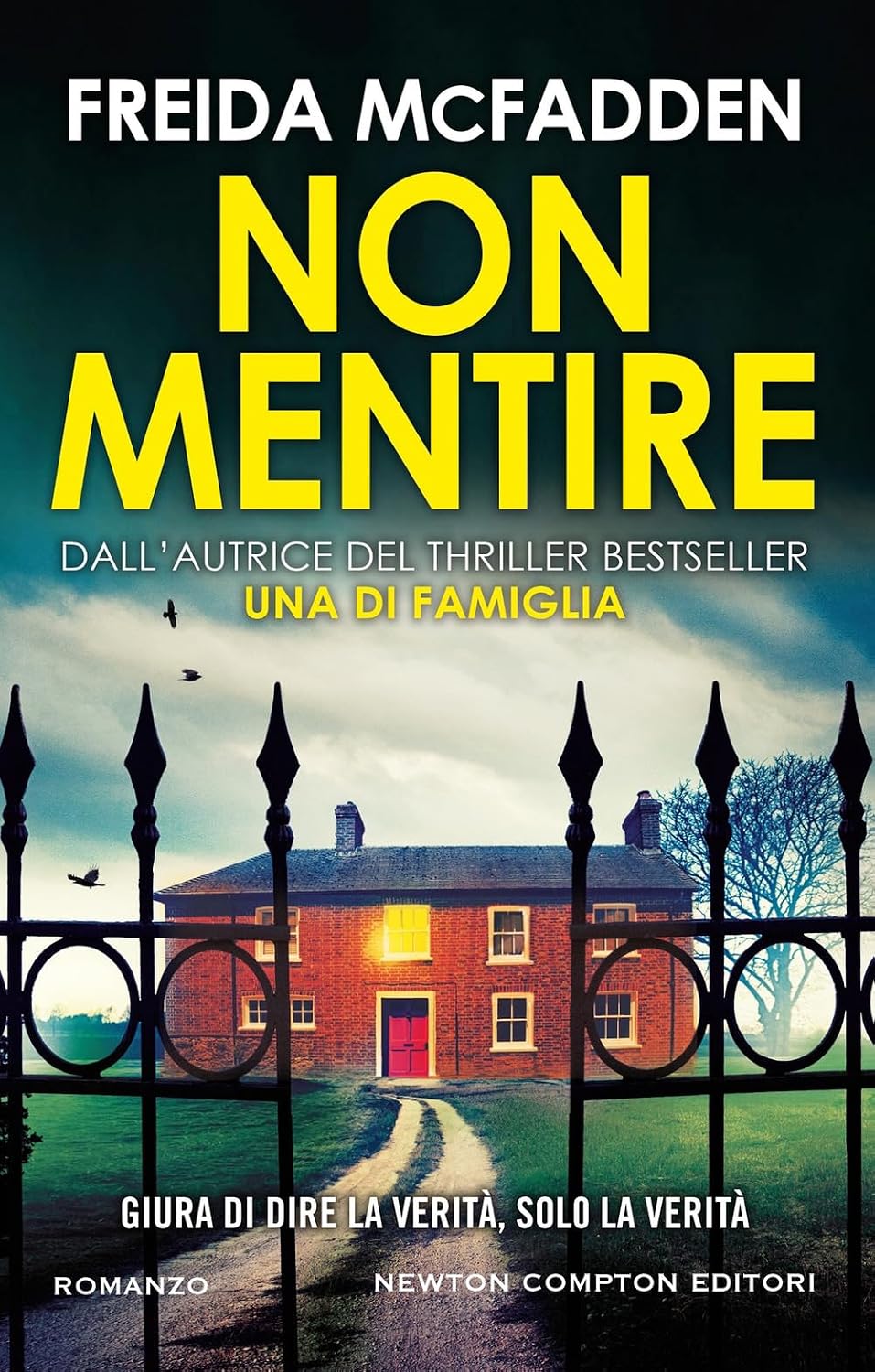 Non mentire. Il thriller rivelazione dell'anno McFadden, Freida