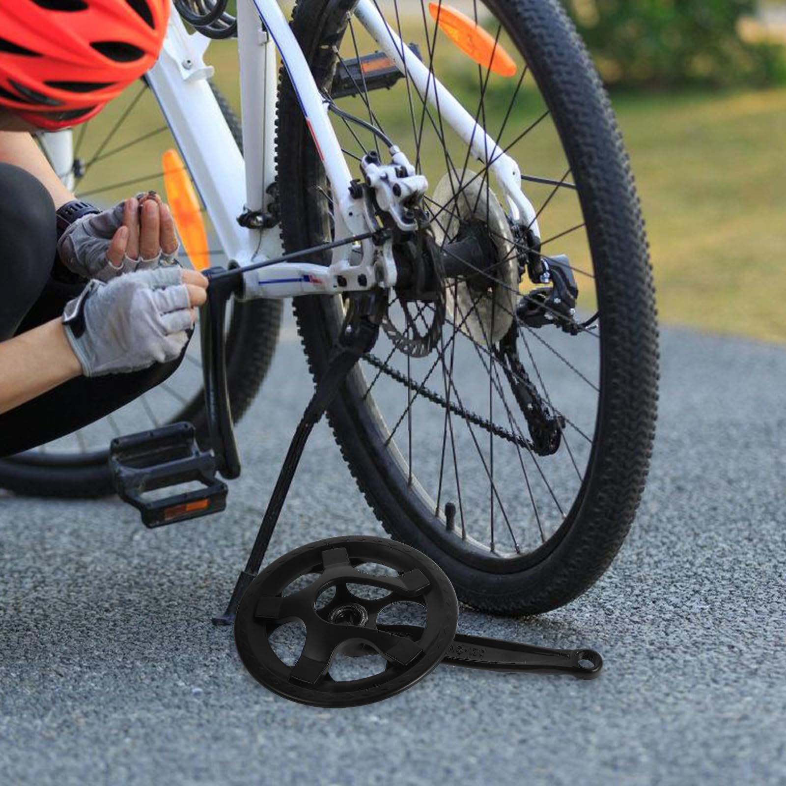 View 5