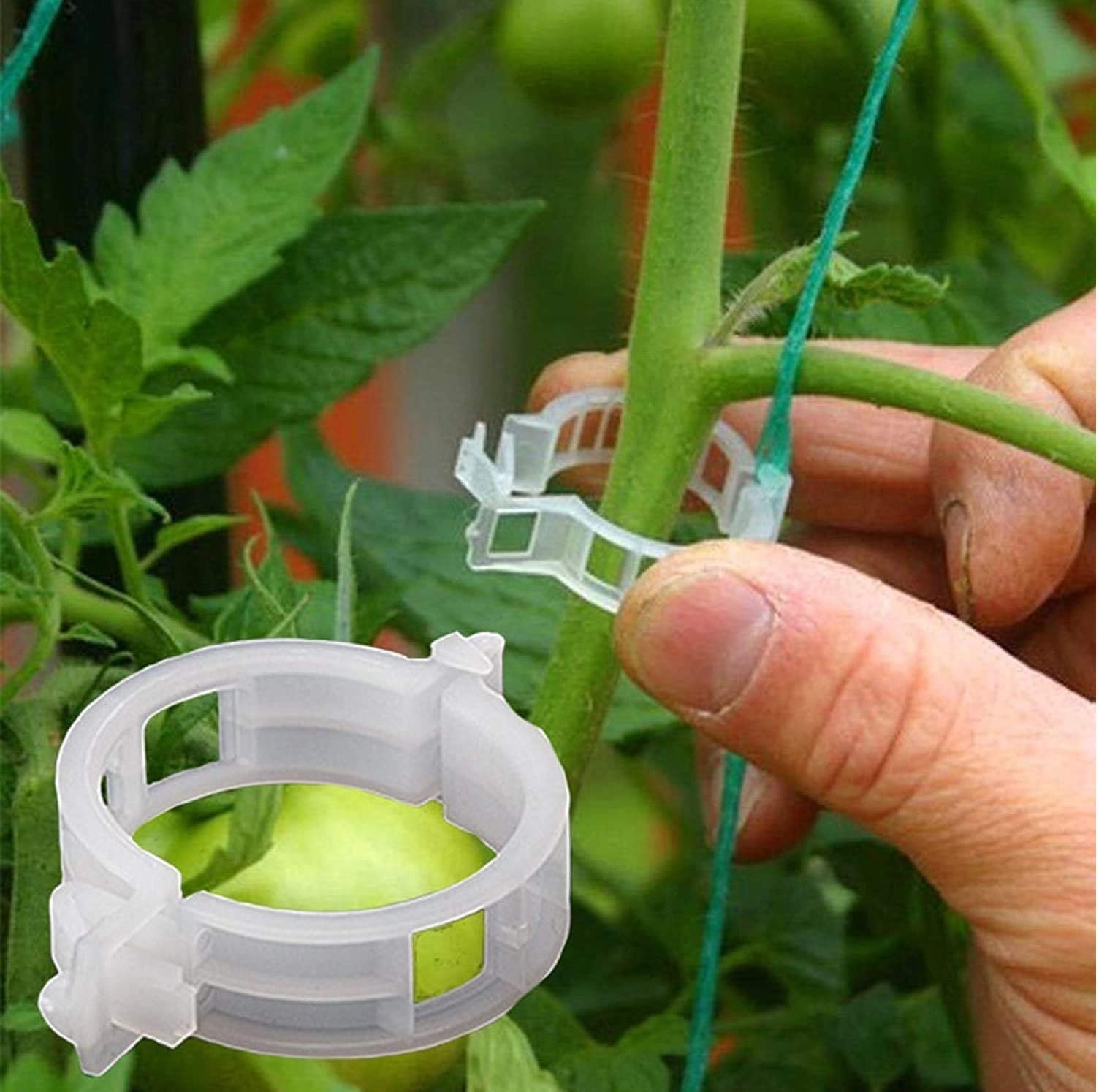 See full amazon price history chart for Ysprout Plant Support Clips (50 Pcs), Garden Support Clips, Garden Clips, Grape Vine, Tomato Clips Connect Pepper Cucumber Vines to Trellis Twine Ysprout Plant Support Clips (50 Pcs), Garden Support Clips, Garden Clips, Grape Vine, Tomato Clips Connect Pepper Cucumber Vines to Trellis Twine (B09QYT875W) Amazon Price History, Amazon Price Tracker