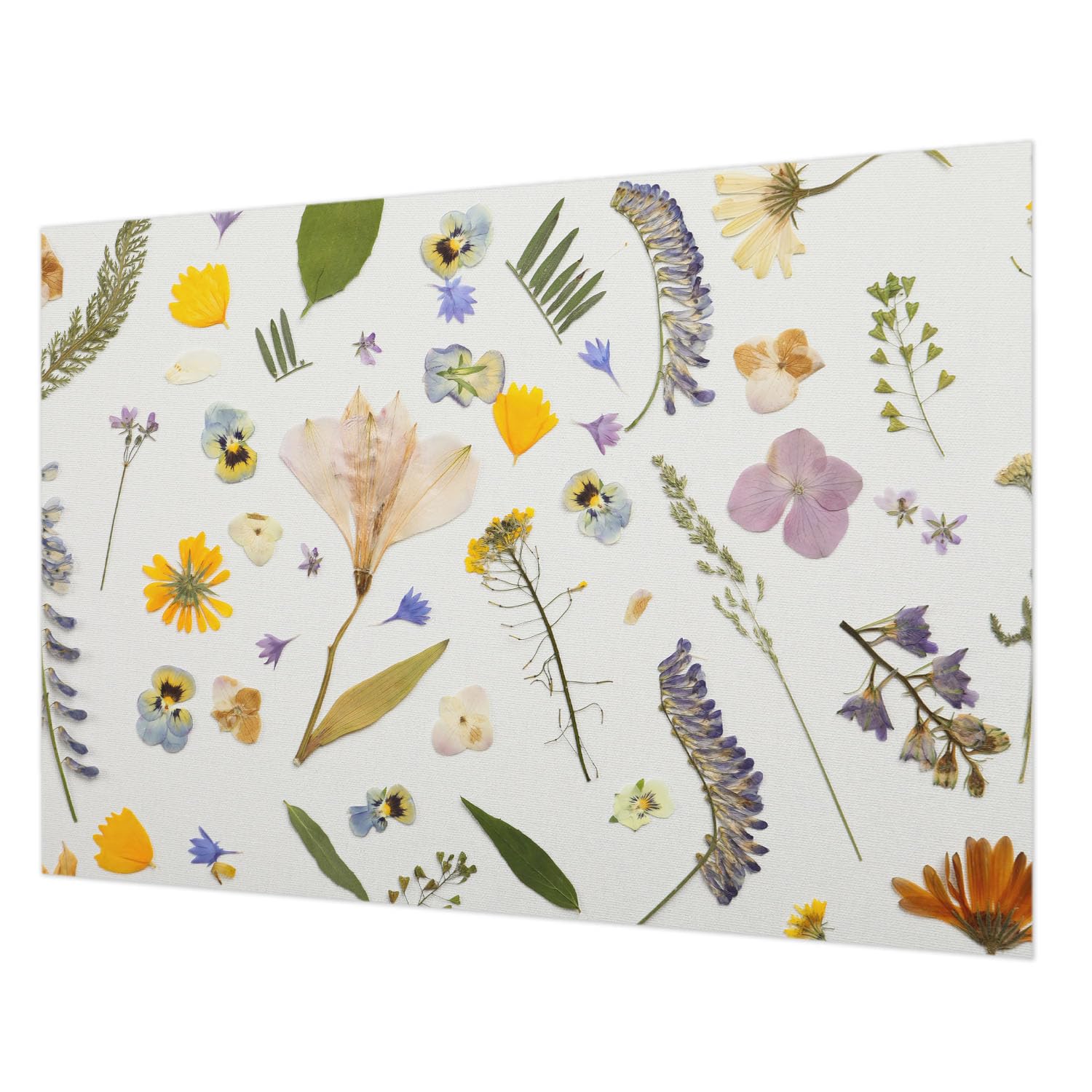 Papier peint fleurs printanières lavable et facile à poser avec colle incluse