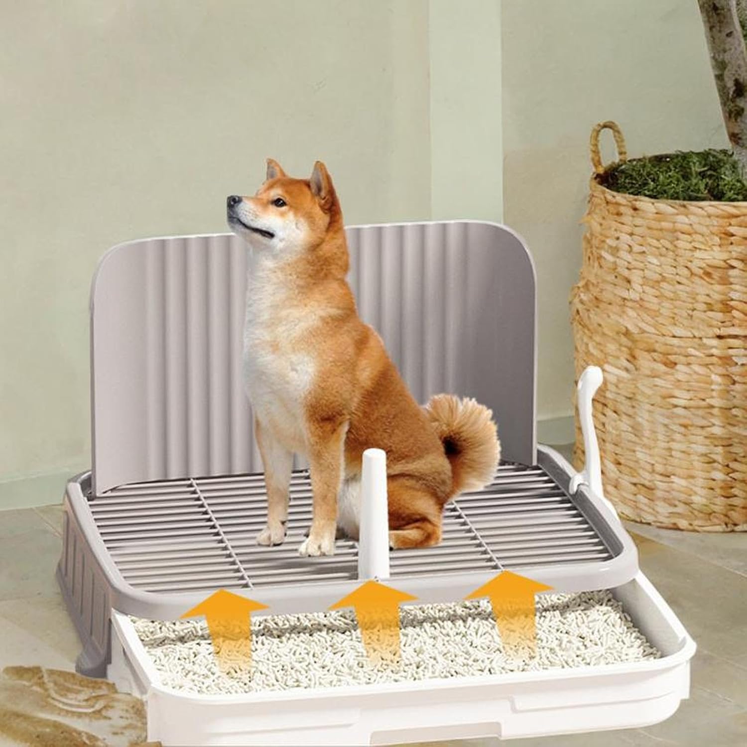 Generic Dog Potty Toilet Dog Litter Box Portable with Scoop Pet Pee Toilet Pee Pad Holder Dog Training Toilet for Puppy Small Dogs