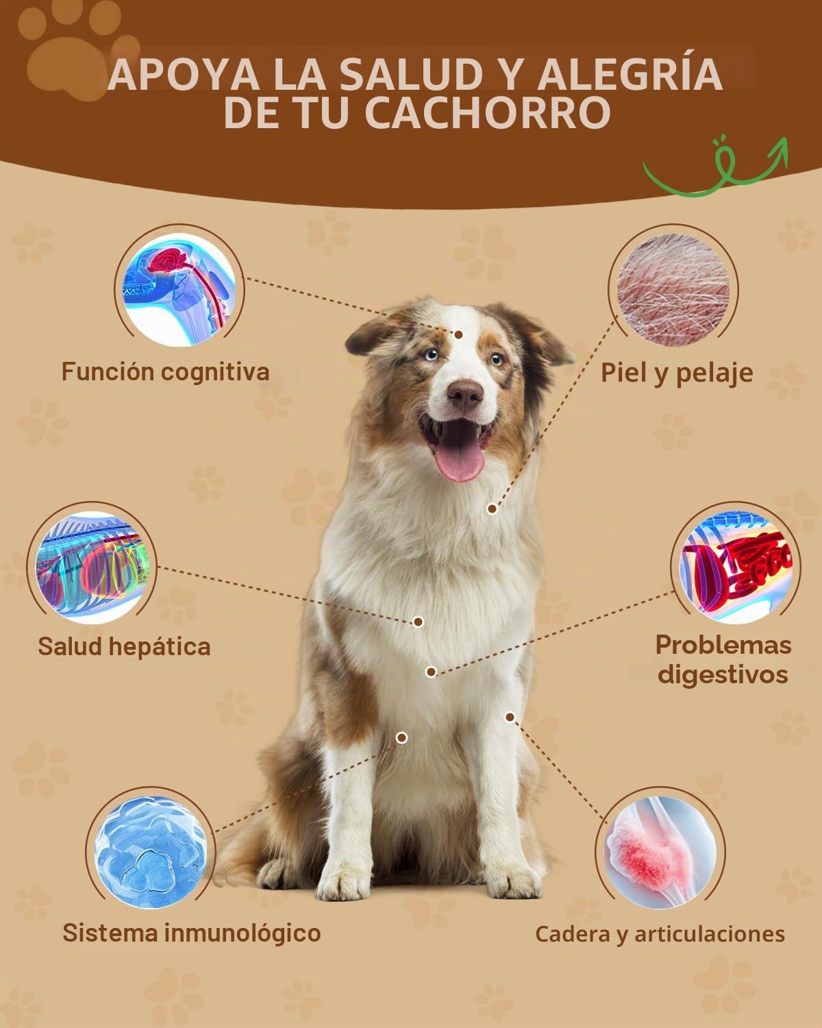 9 en 1 Hongos para Perros, Apoyo inmunitario, Polvo con Sabor a Pollo | Suplemento de hongos para perros, Sistema digestivo, piel, articulaciones, con 9 hongos