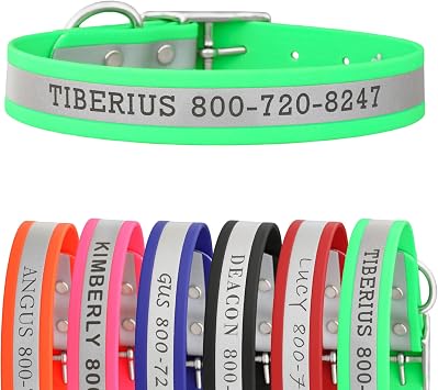 dogIDs Personalized Reflective Waterproof Dog Collar - Custom, Durable, Adjustable, Odor Resistant, Safe, Engraved - Green, 1 in x 22 in Fits Neck Sizes 20-24 in