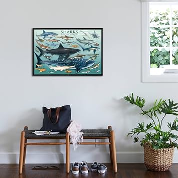 AllPosters Wall Poster Sharks on Black Frame, 36x24