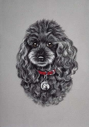 Amazon 油絵 数字キットによる絵画 黒プードル犬塗り絵 手塗り Diy絵 デジタル油絵友達や子供へのプレゼント 家の装飾 フレームレス 手芸キット 通販