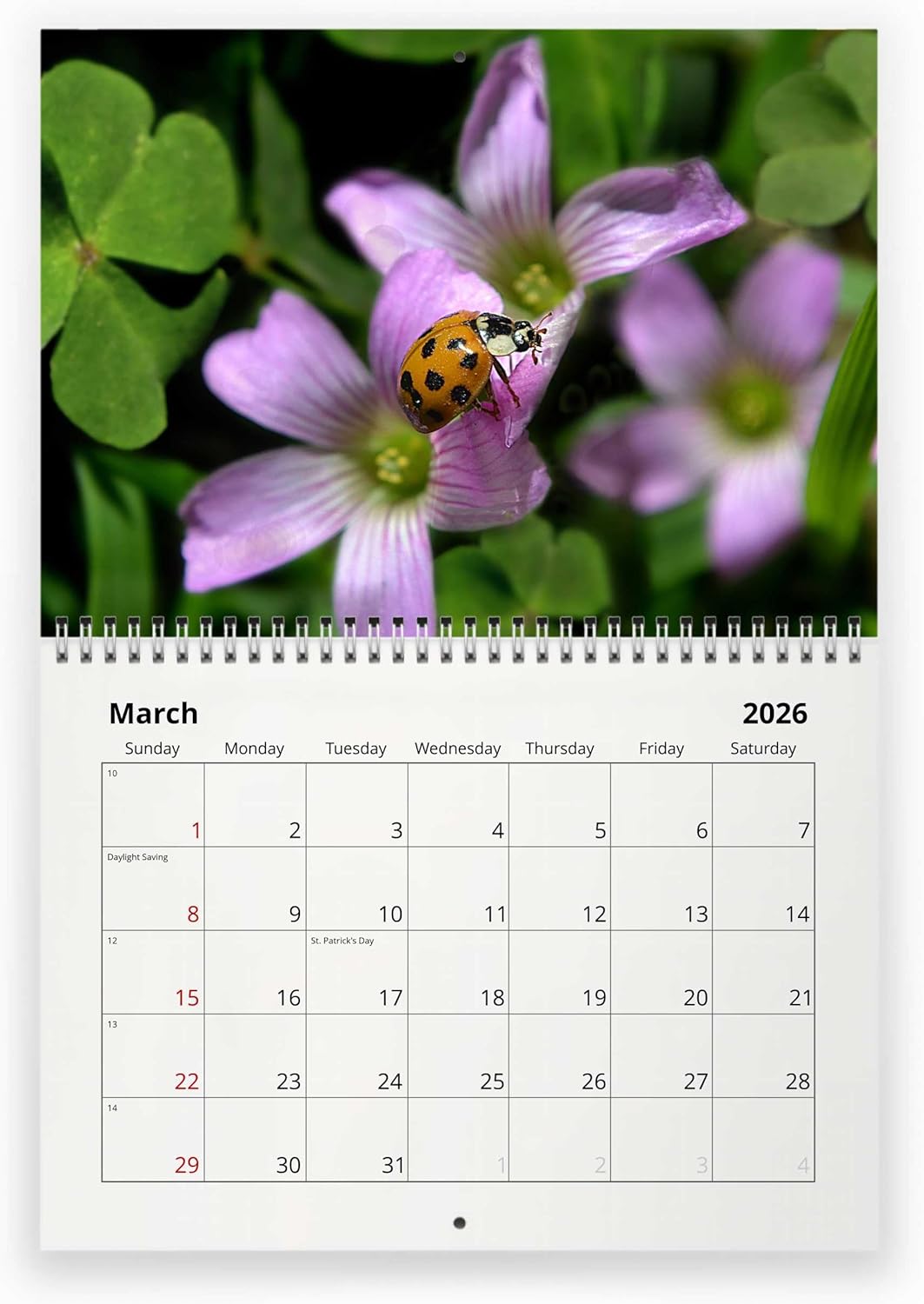 Ladybug 2026 Wall Calendar