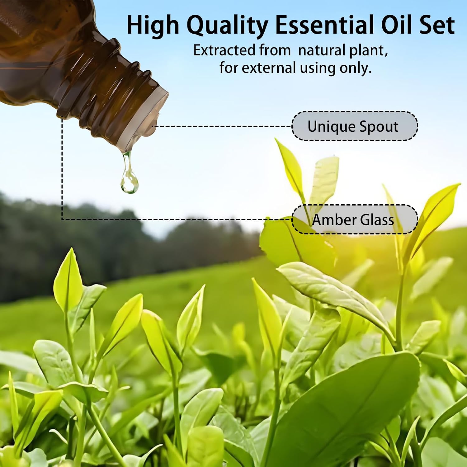 Essential Oils Set-Essential Oils- Aromatherapy, Candle Making,Soap Making -Eucalyptus, Lavender, Peppermint & Tea Tree