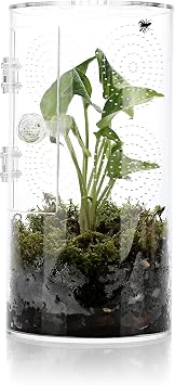 Jumping Spider Enclosure, 11.5*6*6, Air Hole 3/64" Micro Habitat Terrariums, Arboreal Reptile Tank with Front Opening Door,Tarantula Enclosure, Plant Greenhouse