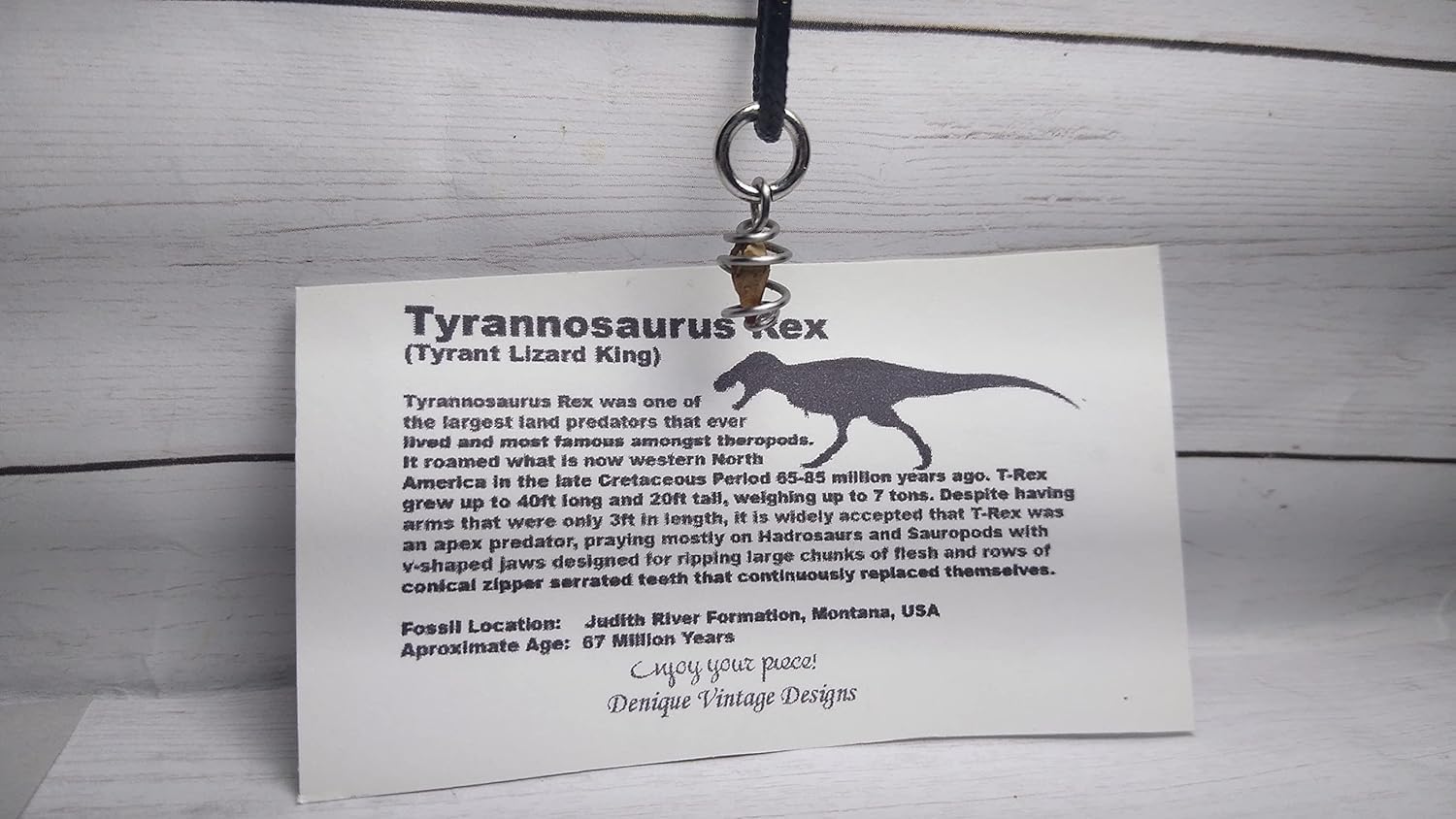 Real Tyrannosaurus fossilized Tooth or Bone Fragment Wrapped in 14K Goldor Rose Gold Wire Cage- TRex Tooth-T Rex Tooth- Dinosaur tooth fossil necklace pendant