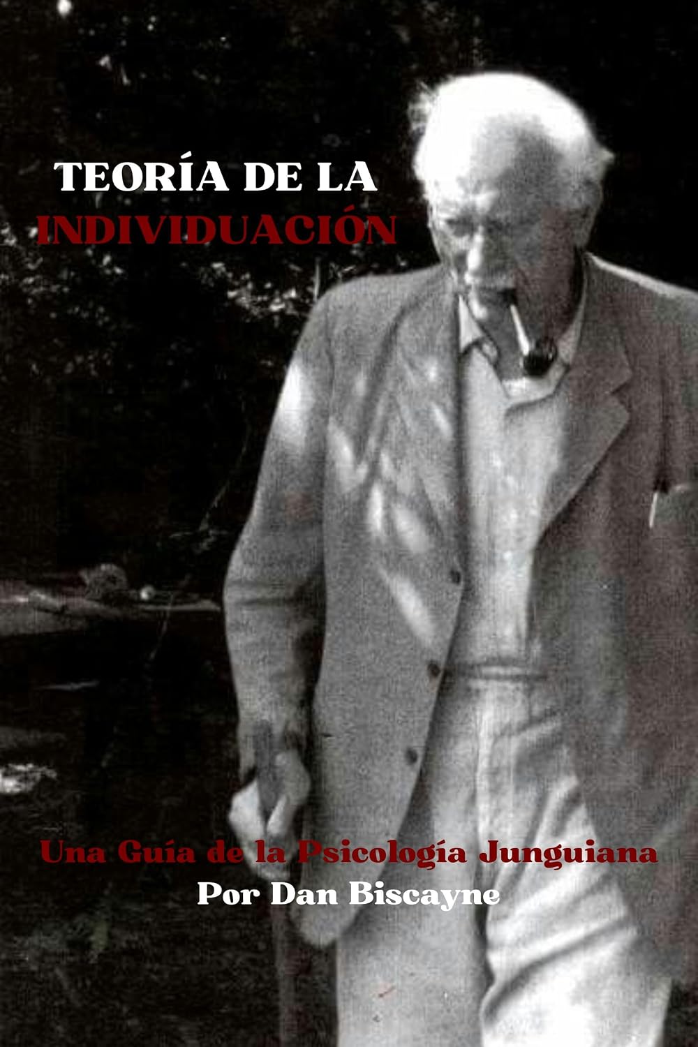 Teoría de la Individuación: Una Guía de la Psicología Junguiana (Teorías Psicológicas nº 4) (Spanish Edition)      Kindle Edition