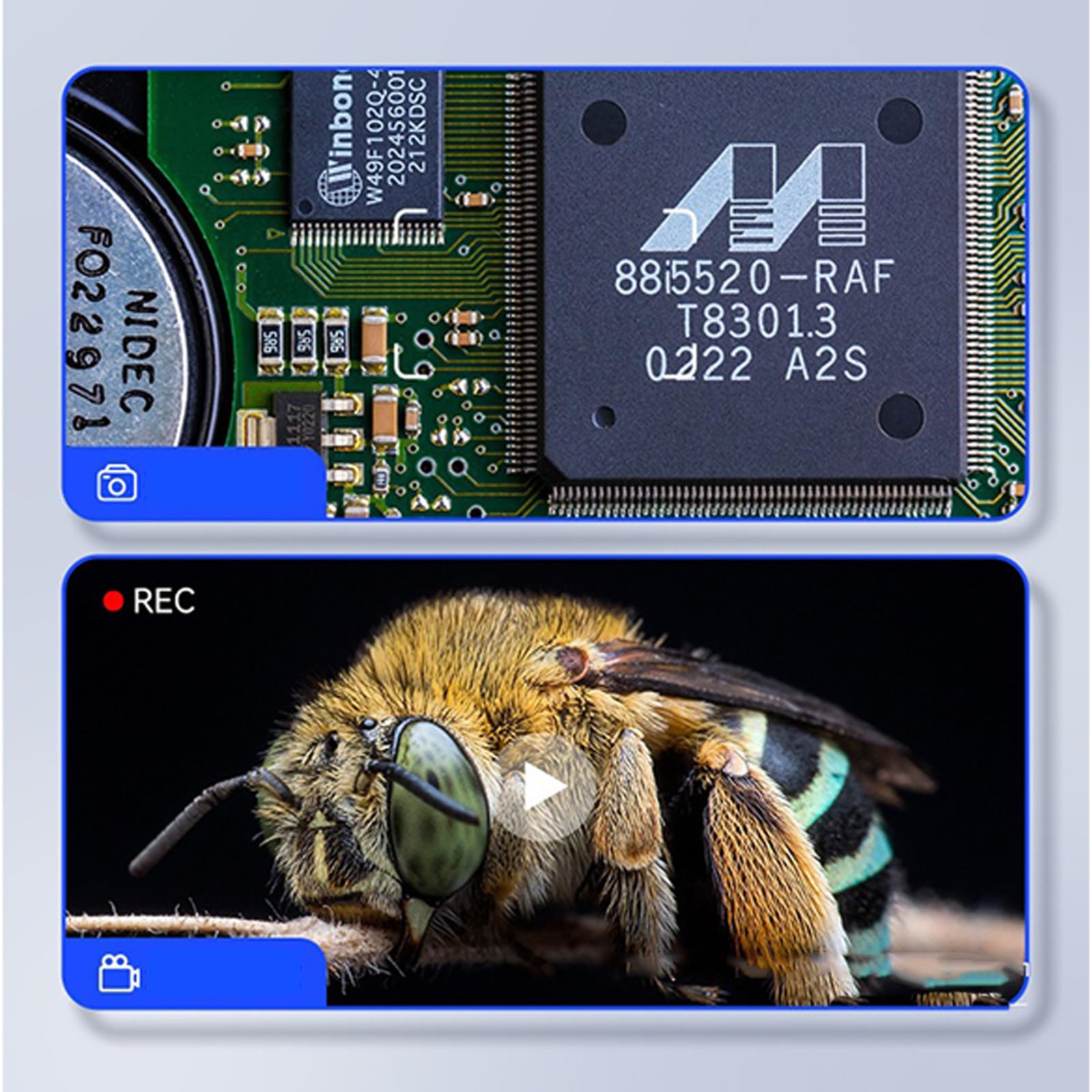 Microscopio digital de fácil transporte 500X con pantalla de 3 pulgadas