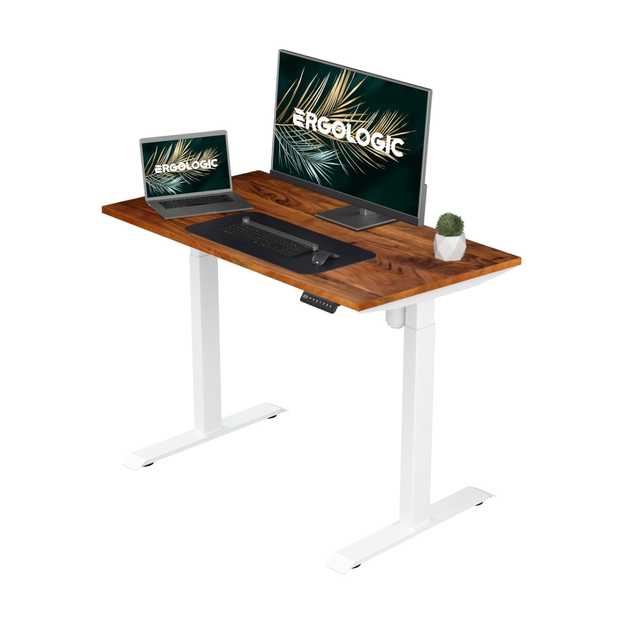 Ergologic Height Adjustable Table | Motorized & Electric | Single Motor | 2-Stage | Ergonomic Sit Stand Desk | 80KG Wt. Capacity | White Frame | with Solid Wood, 1200mm x 600mm Tabletop