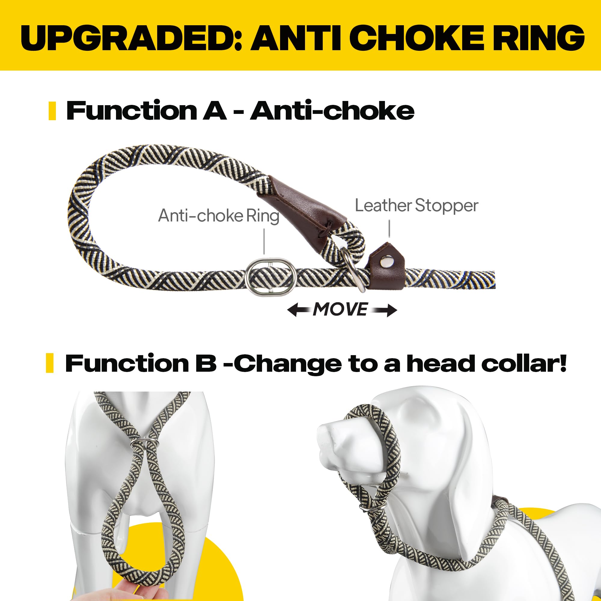 Tips voor het Aanschaffen van een Hondenriem en Halsband | Comfort en Veiligheid voor je Hond - Dog's Companion