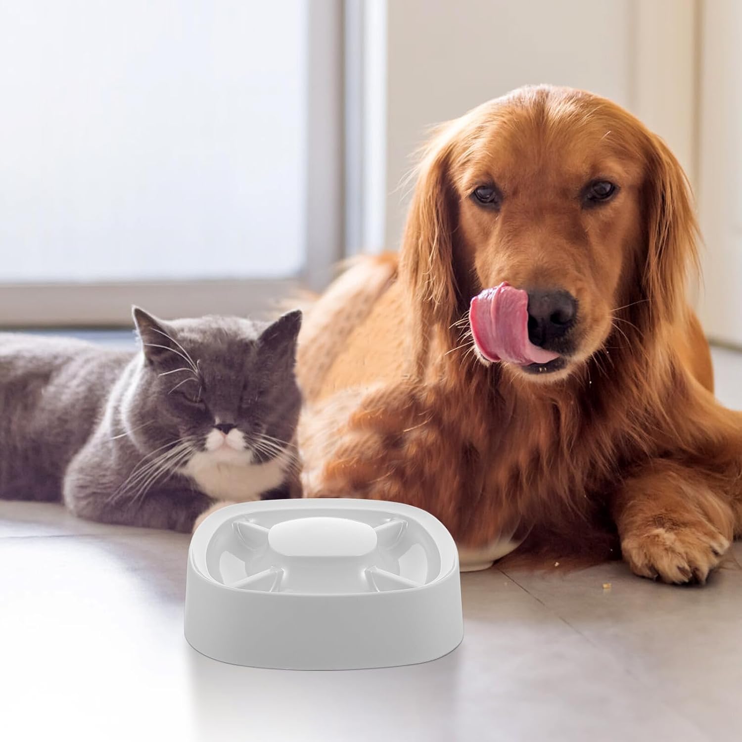 UPKOCH 4-in-1 Divided Slow Feeder Pet Bowl for Cats and Small Dogs, Plastic Multi-Compartment Pet Food and Water Dish, Gray Slow Feeding Bowl for Healthy Eating and Portion Control