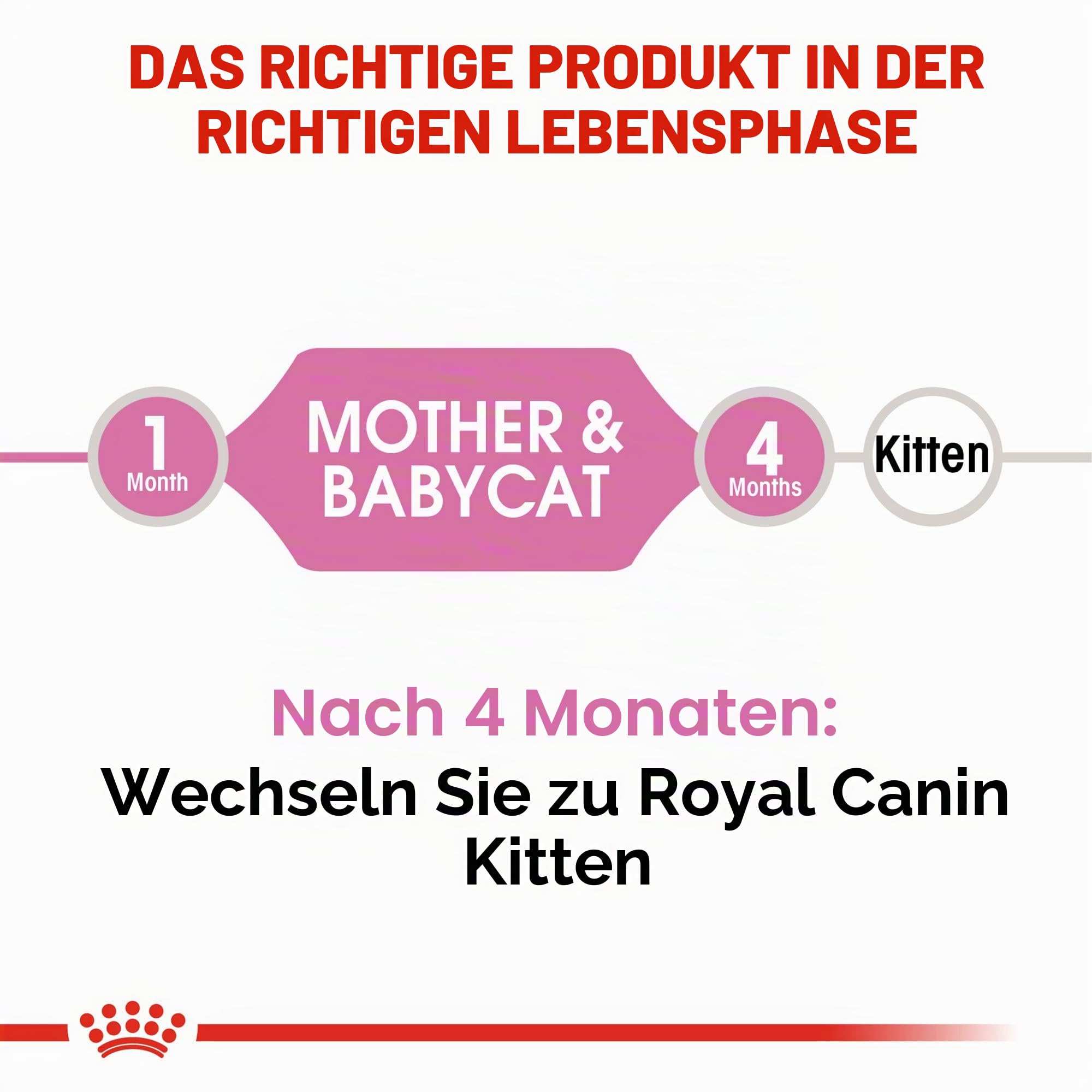 ROYAL CANIN FELINE HEALTH NUTRITION Mother & Babycat dry cat food, 3.5-Pound by Royal Canin