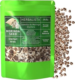 Moringa Seeds | 8oz (226g) Approx. 800+ Seeds | Premium PKM1 Variety | Snacking & Planting | Non-GMO | Wildcrafted Drumstick Tree (Malunggay) | Moringa Oleifera Semillas