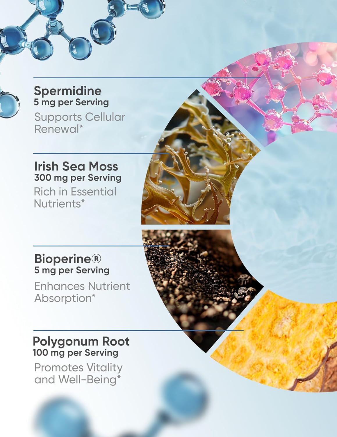 100% Natural Super Spermidine Supplements for Women and Men | 4X Ingredients to Supercharge Your Cellular Health and Hair Growth | Anti Aging Supplement Box