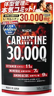 カルニチン 30,000mg ダイエット ビタミン11種 必須ミネラル7種 必須アミノ酸9種 コエンザイムＱ10 αリポ酸 ヒハツ ブラックジンジャー 緑茶カテキン サプリ 国内GMP製造 WADS