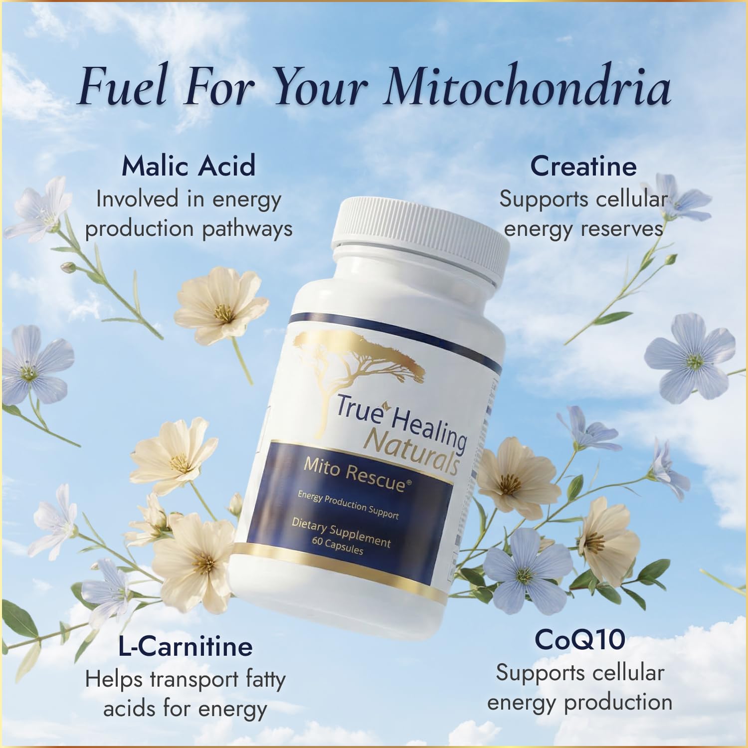True Healing Naturals - Mito Rescue, Mitochondrial Support Supplements, 60 Vegetarian Capsules — Amazon image 3