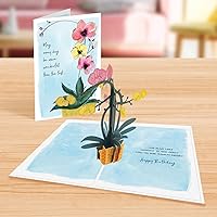 Vista 4 de Designer Pop!, Tarjeta de felicitación desplegable de cumpleaños, diseño floral con planta de orquídea 3D, tarjeta para amigos, familiares
