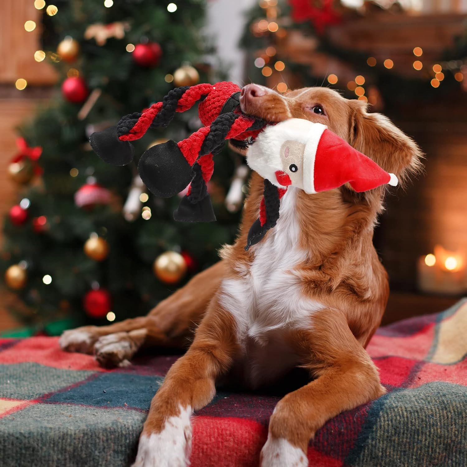 Senneny 3 Pack Dog Christmas Toys Santa,Reindeer and Snowman, Squeaky Toys for Dogs Puppy, Stuffed Plush for Large Medium Small Dogs, Interactive Durable Dog Chew Toys