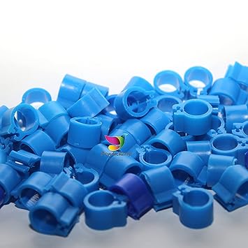 PONDICHERRY Pigeons? - Birds Ring - Dove Ring| Pigeon Leg Plastic Clip Ring, Ring for Pigeon, for Big Pigeons, Bird Leg Bands 8mm Blue Color - 50 Pcs