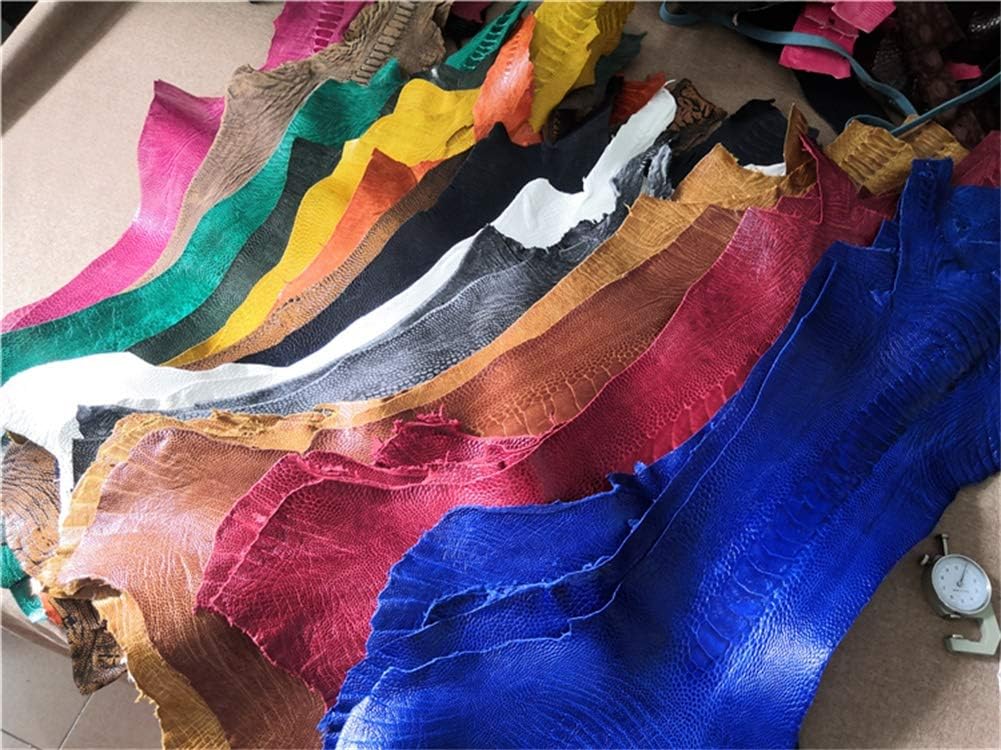 Ostrich Leg Leather Skin Hide Craft Nature Leather Whole Piece Craft Material for Wallet Handbag Decoration