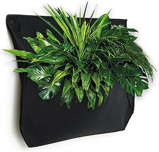 WallyGrow 1-Pocket Wall Planter for Indoor or Outdoor Use with Watering Channel, Wall-Hanging Planters for Plant Walls Any...