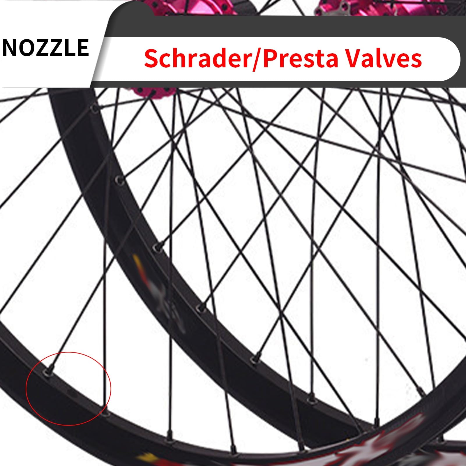 Ruote per Mountain Bike da 29 Pollici con sgancio rapido 9x100/10x135 mm, Anteriori e Posteriori, per Freni a Disco, mozzi a 32 Fori per Cassette a 7/8/9/10/11/12 velocità.