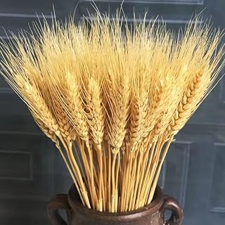 Wheat Straw Natural Wheat Ear Family Table Arrangement Floral Wedding Decoration