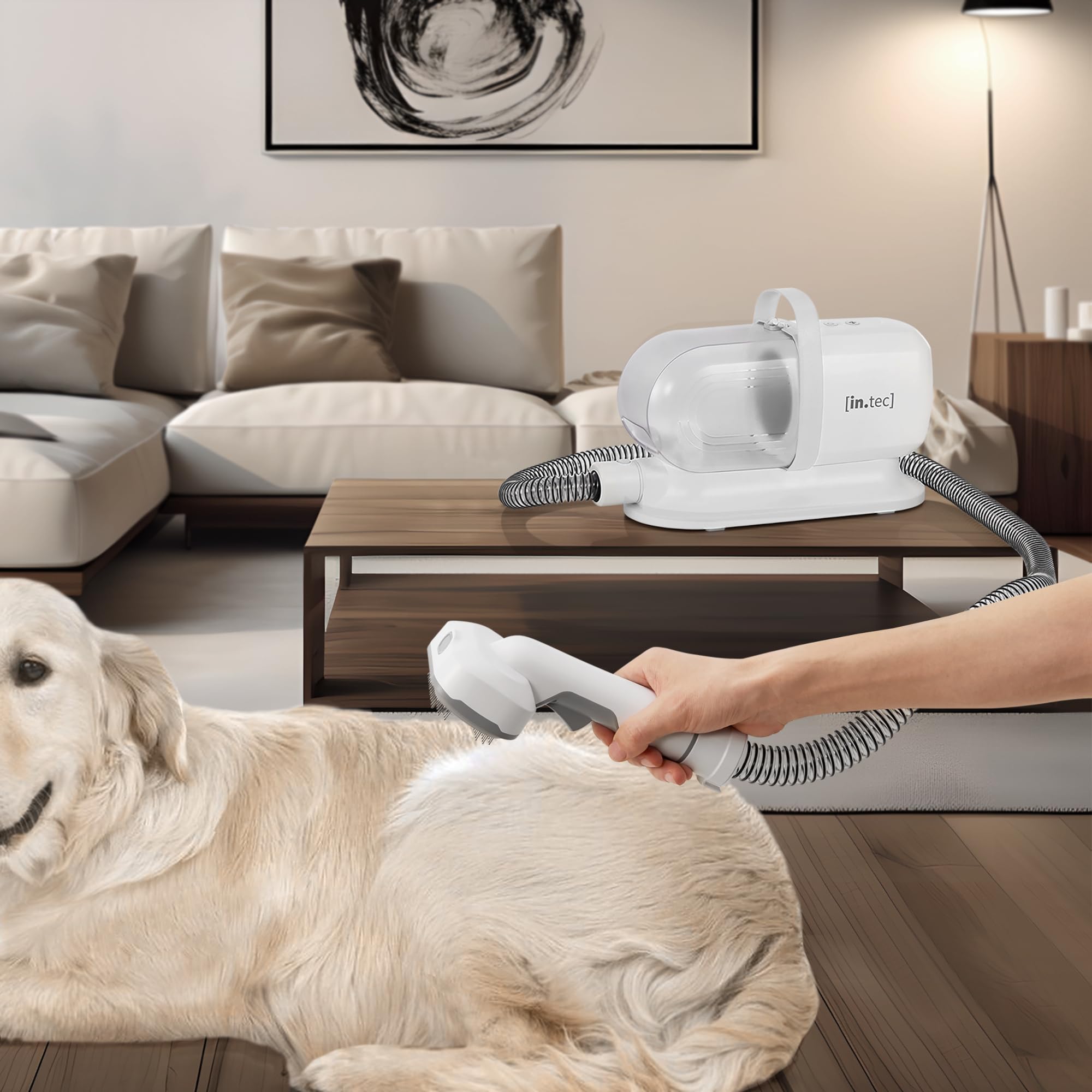in.tec Kit Toelettatura 5 in 1 per Animali Domestici Tosatrice Elettrica e Aspirapolvere con Contenitore Rimovibile Trimmer Cani Gatti Asciugapeli - Bianco