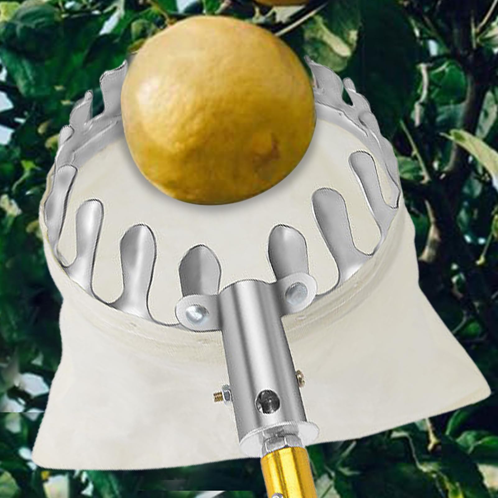 Obstpflückerkorb – Obstpflückerkopf, Obstpflücker-Werkzeuge, Edelstahl, Orangenpflücker-Werkzeug, Korb, tragbar, einfach zu bedienen, Getting, Obstfänger, Kirsche, Beere, Orange,