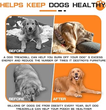 Dog Treadmill for Large Dogs,Slatmill for Dogs,Treadmill for Dogs, Doggy Treadmill for Pet Health and Fitness, Indoor and Outdoor Dog Treadmills,Dog Running Machine for Large and Medium Size Dogs