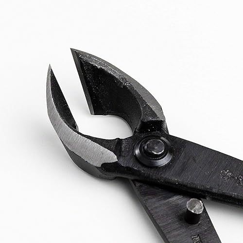 Miniatura 6 de Wazakura Juego de herramientas japonesas para bonsái fabricado en Japón, tijeras Satsuki de 7 pulgadas (7.087 in) + cortador de ramas cóncavas de 8