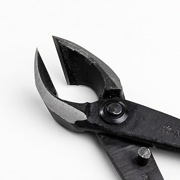 Japanese Cherry Blossom Bonsai Essential Tool Kit, Japanese Yasugi Steel Twig Bonsai Scissors, Concave Branch Cutter, 8 inch 200 mm + Stainless Tweezers + Tree Sap Eraser Set of 4