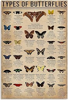 FJQWKLF Metall-Blechschilder mit Schmetterlingsarten, Retro-Schmetterlings-Wissensposter, Wissenschafts-Infografik, Tafel, Bauernhaus, Klassenzimmer, Heimwanddekoration, 20,3 x 30,5 cm