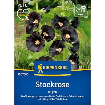 Kiepenkerl Hollyhock seeds Nigra 1067560 - perennial large flowered deep black red hollyhock seeds - wild flower seeds flower meadow seed cultivation