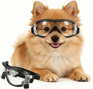 NAMSAN clear dog goggles for small breeds