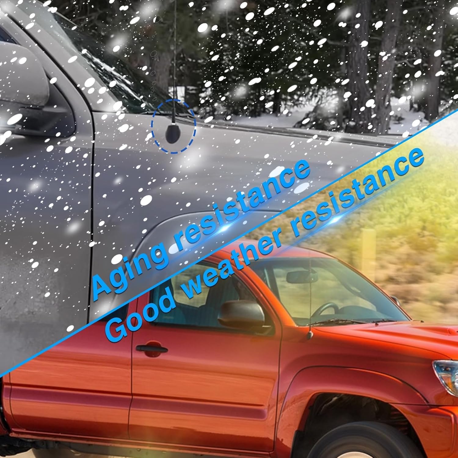 FUSCH Antenna Ornament Bezel & Nut Compatible with Toyota Tacoma 2005-2015 Replace# 86396-04040,86392-04040