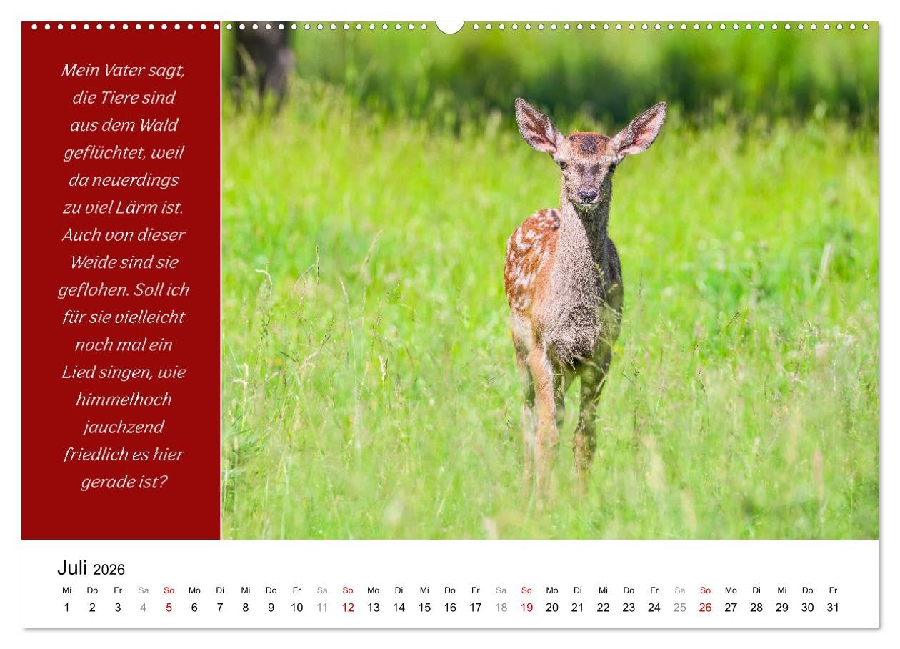 Tiere und feiner Humor (hochwertiger Premium Wandkalender 2026 DIN A2 quer), Kunstdruck in Hochglanz: Tiere in schönsten Bildern mit lustigen Sprüchen. (CALVENDO Spass)