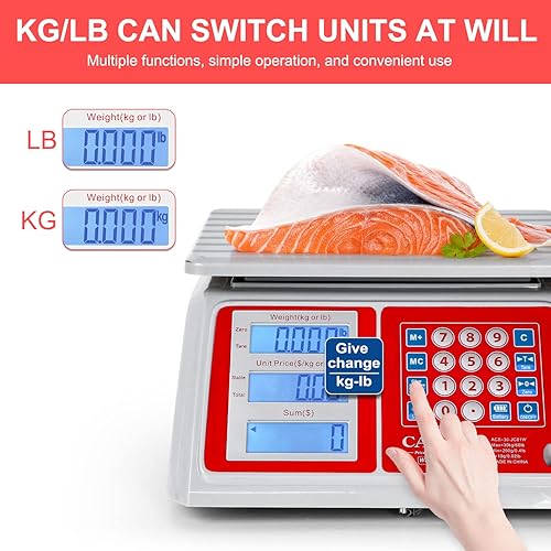 Miniatura 3 de CAMRY Báscula comercial impermeable IPX7 de 66 libras / 66.1 lbs de precio digital para computación de productos de carne con retroiluminación