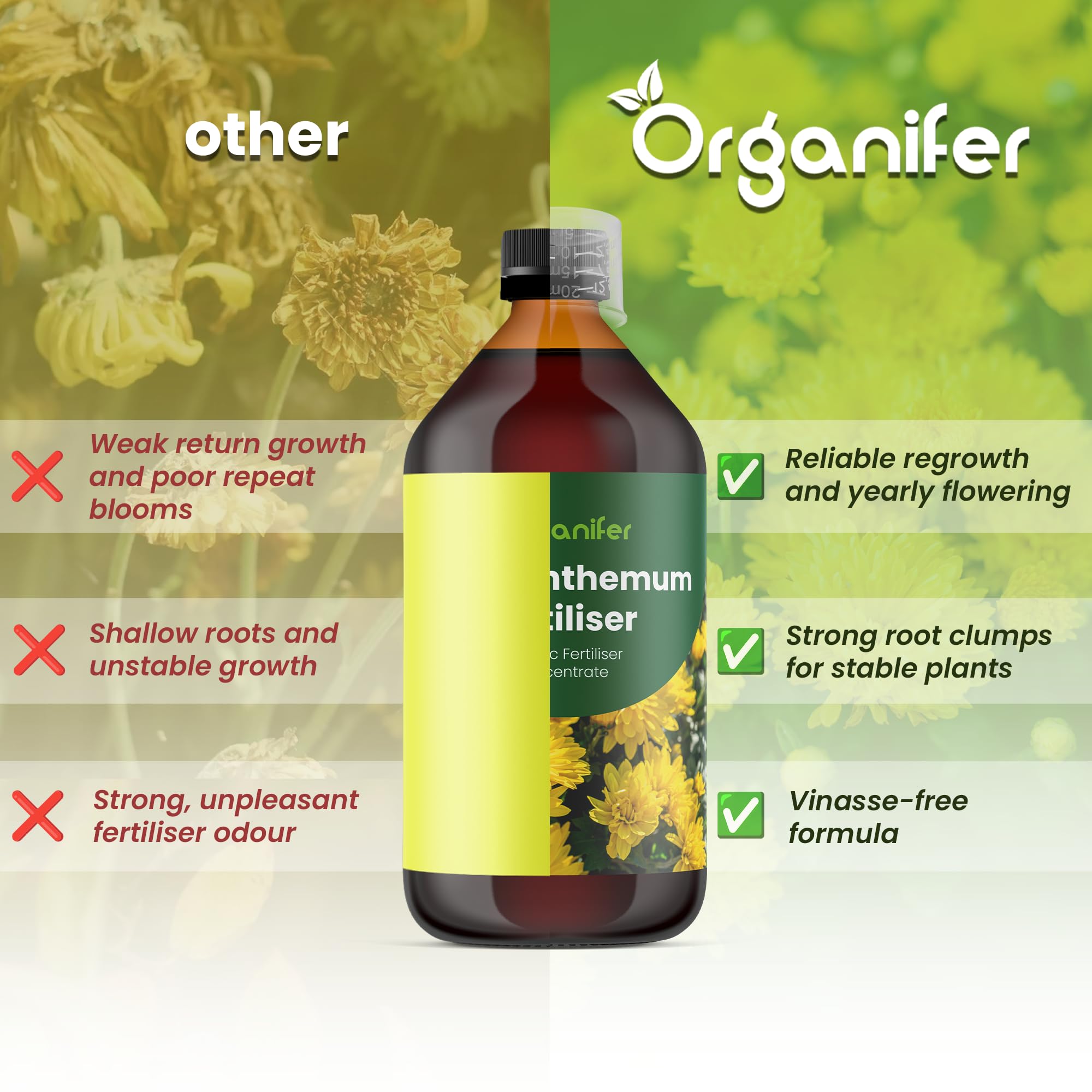 Concime Liquido - 2x1L - Per Crisantemi - NPK 2-1-8 | Per Crisantemi - Foglie Rigogliose E Fioritura Colorata - Organifer