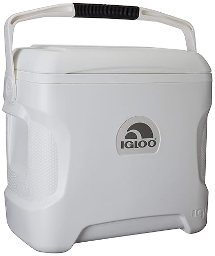 Igloo
