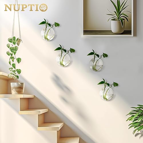 Miniatura 4 de NUPTIO 4 macetas colgantes de pared de vidrio, terrarios, macetas redondas de vidrio, jarrones colgantes de vidrio para plantas, terrarios,