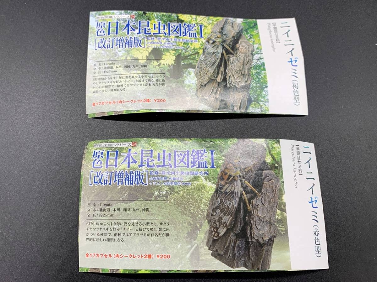Amazon | Yujin ユージン原色日本昆虫図鑑I 改訂増補版 ニイニイゼミ