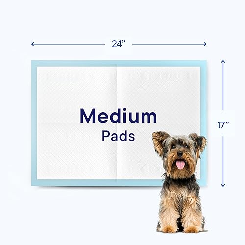 Miniatura 7 de Almohadillas desechables para entrenamiento de mascotas de 17 x 24 pulgadas, 300 unidades, almohadillas desechables para entrenamiento de mascotas,
