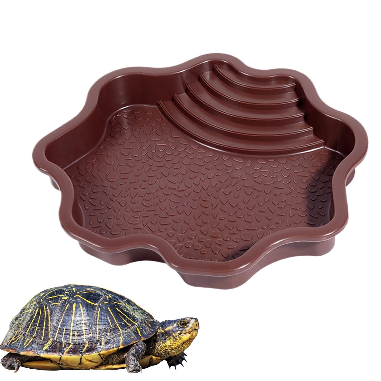 Piscine de baignade pour reptiles avec échelle | Accessoires habitat pour salamandre, dragon barbu, lézard