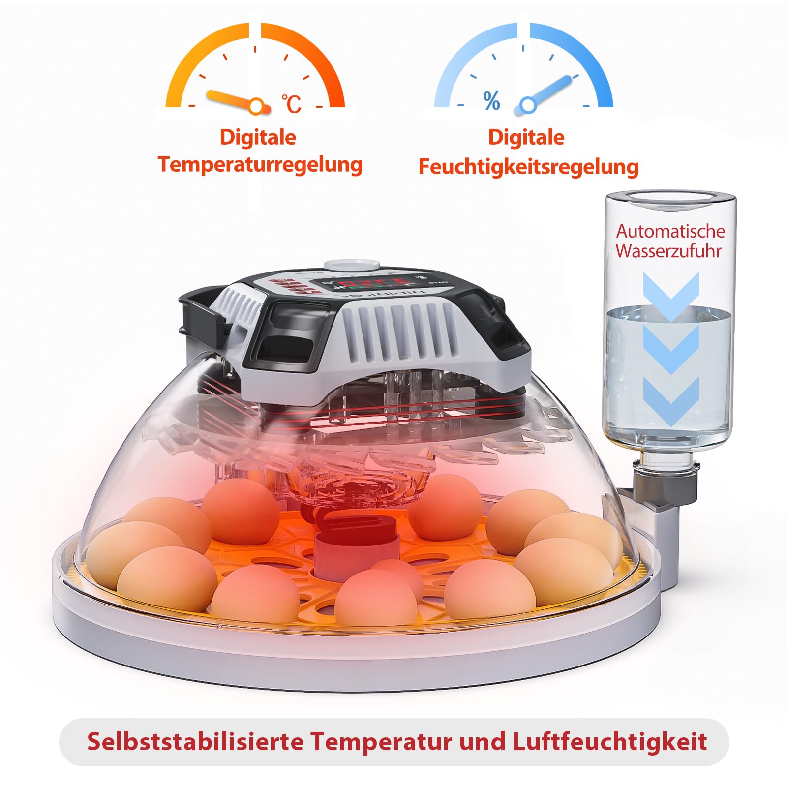 Incubadora automática de 12 huevos con control automático de humedad,Suministro de agua externo, Volteador De Huevos Automático,Contador Diario,BibiBirds Incubadora Huevo Gallina Codornices Pollito.